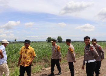 Kapolres Soppeng Kunjungi Lokasi Ketahanan Pangan di Marioriawa