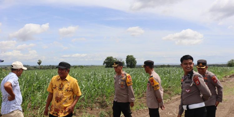 Kapolres Soppeng Kunjungi Lokasi Ketahanan Pangan di Marioriawa