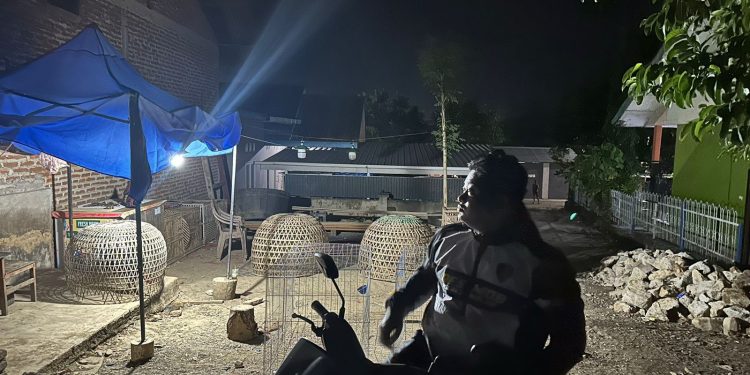 Polres Wajo Razia Sabung Ayam di Jalan Srikaya
