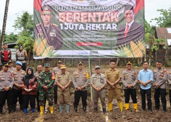 Dukung Program Asta Cita Presiden RI, Kapolres Maros Tanam Jagung Serentak