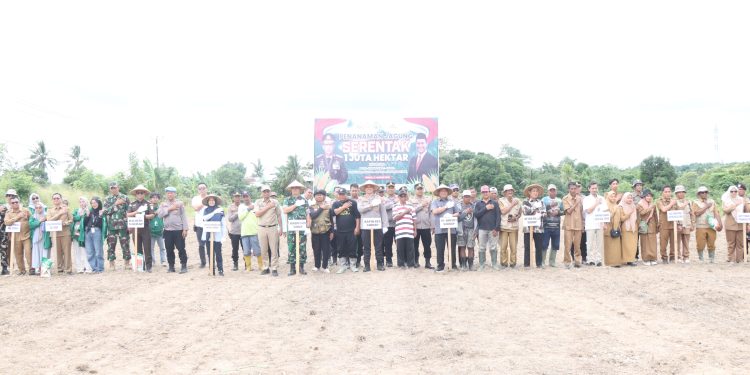 Kapolres, Dandim, Pj. Bupati, Ketua DPRD dan Ketua Pengadilan Sidrap Kompak Tanam Jagung serentak di Desa Mario, Wujudkan Ketahanan Pangan Kabupaten Sidrap
