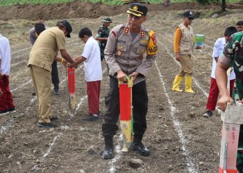 Kapolres Soppeng Tanam Jagung Dukung Program Astacita Presiden RI