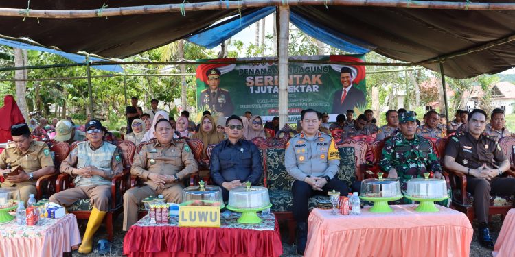 Dukung Swasembada Pangan, Kapolres Luwu dan Forkopimda Tanam Jagung Serentak