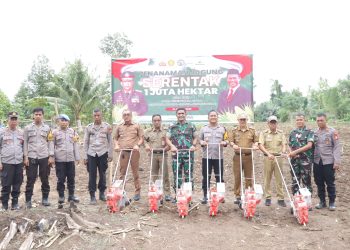 Dukung Swasembada Pangan Nasional, Kapolres Pinrang Tanam Jagung di Lingkungan Bulu Siapae