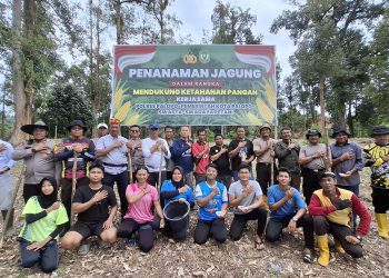 Dukung Program Ketahanan Pangan Nasional, Kapolres Palopo Tanam Jagung