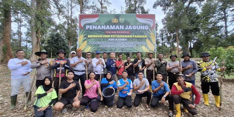 Dukung Program Ketahanan Pangan Nasional, Kapolres Palopo Tanam Jagung