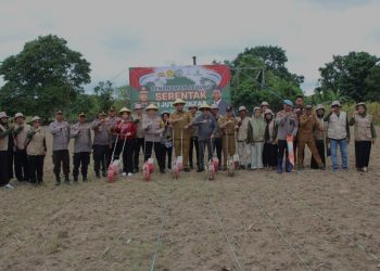 Kapolres Enrekang Bersama Forkopimda Tanam Jagung Dukung Perogram Ketahanan Pangan Presiden RI