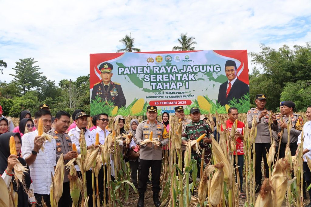 Dukung Swasembada Pangan, Kapolres Luwu Bersama Forkopimda Panen Jagung Serantak 