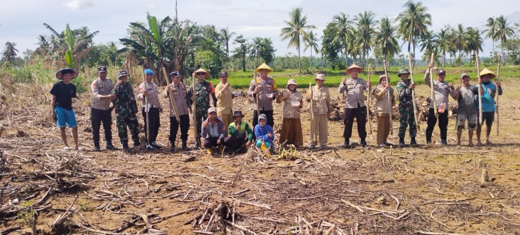 Dukung Ketahanan Pangan, Kapolsek Pitumpanua Polres Wajo Tanam Jagung Bersama Warga