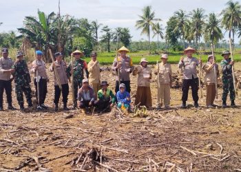 Dukung Ketahanan Pangan, Kapolsek Pitumpanua Polres Wajo Tanam Jagung Bersama Warga