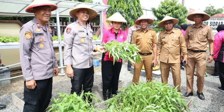 Kapolres Sidrap dan Ketua Bhayangkari Luncurkan Pekarangan Pangan Lestari di Polsek Maritengngae
