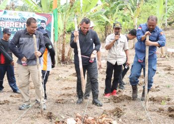 Kapolres Sidrap Pimpin Gerakan Tanam Jagung dan Nilam di Buntu Buangin