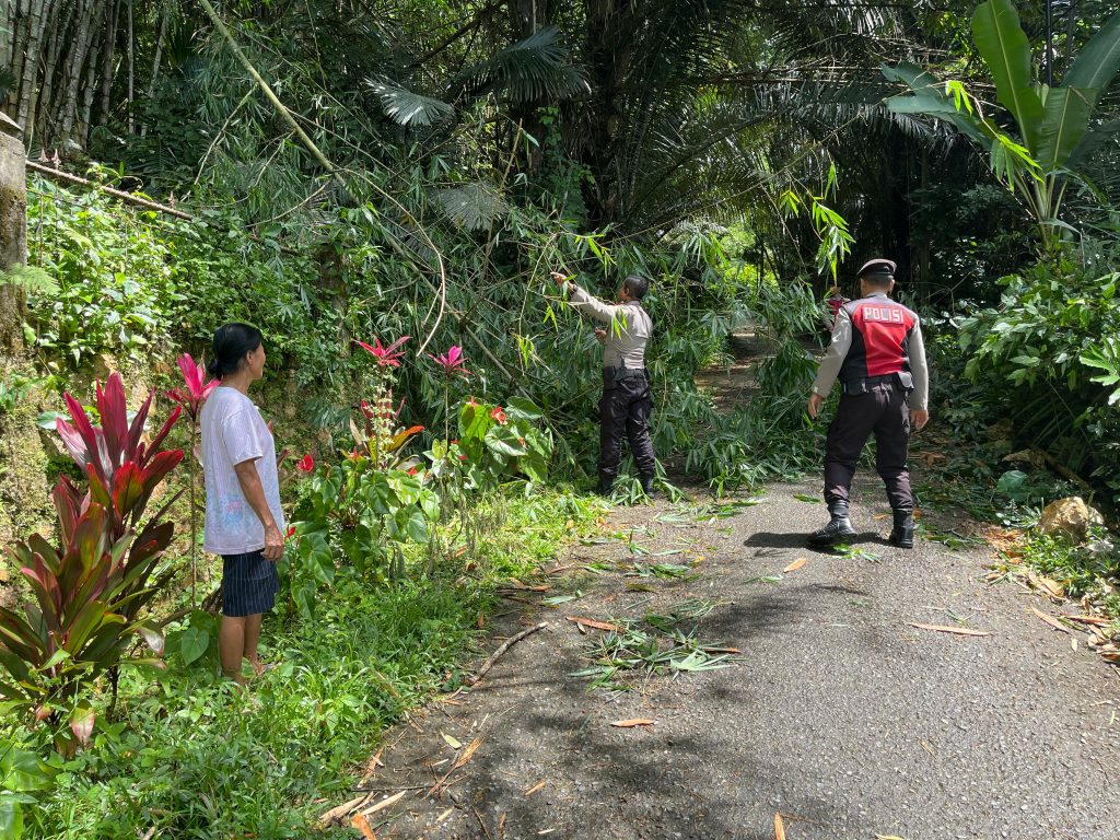 Personel Sat Samapta Polres Tator Gerak Cepat Bersihkan Pohon Tumbang Yang Menutupi Jalan