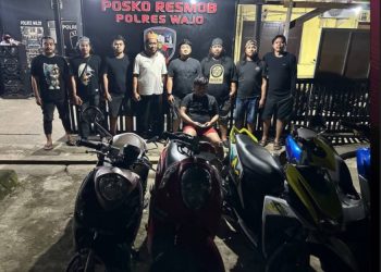 Resmob Polres Wajo Bersama Unit Reskrim Polsek Tanasitolo Bekuk Residivis Curanmor