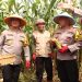 Dukung Swasembada Pangan Nasional, Kapolda Sulsel Panen Jagung Perdana di Malili