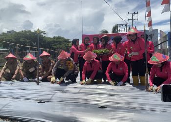 Dukung Program Presiden, Kapolres Bone bersama Ketua Bhayangkari Launching Pekarangan Pangan Lestari