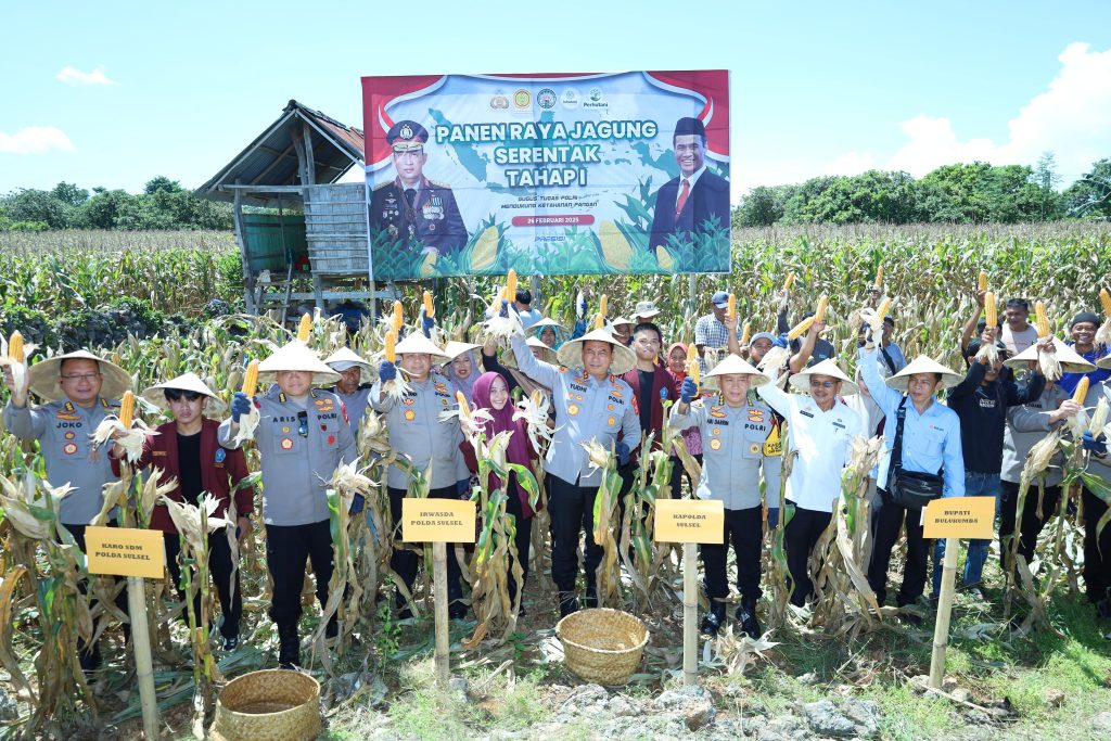 Dukung Program Ketahanan Pangan, Kapolda Sulsel Panen Jagung Serentak di Bulukumba