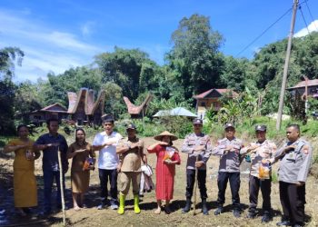 Personel Polsek Sesean Bersama Pihak Terkait Tanam Jagung di Bangkelekila’ Toraja Utara