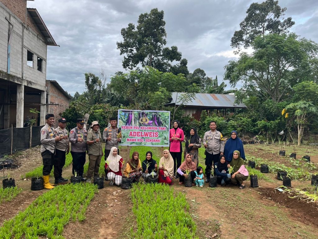 Kapolres Palopo bersama Ketua Bhayangkari Tanam Sayur di Kebun P2L Kelompok Tani Adelweis