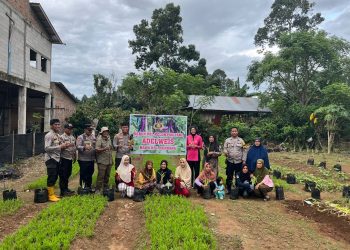 Kapolres Palopo bersama Ketua Bhayangkari Tanam Sayur di Kebun P2L Kelompok Tani Adelweis