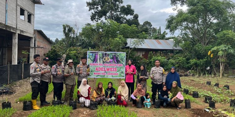 Kapolres Palopo bersama Ketua Bhayangkari Tanam Sayur di Kebun P2L Kelompok Tani Adelweis