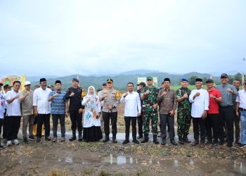 Kapolres Bone - Bupati dan Forkopimda Tanam Jagung Perdana di Lahan 300 Hektar
