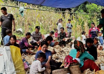 Bhabinkamtibmas Polres Tana Toraja Dampingi Petani Panen Jagung di Dusun Kendenan