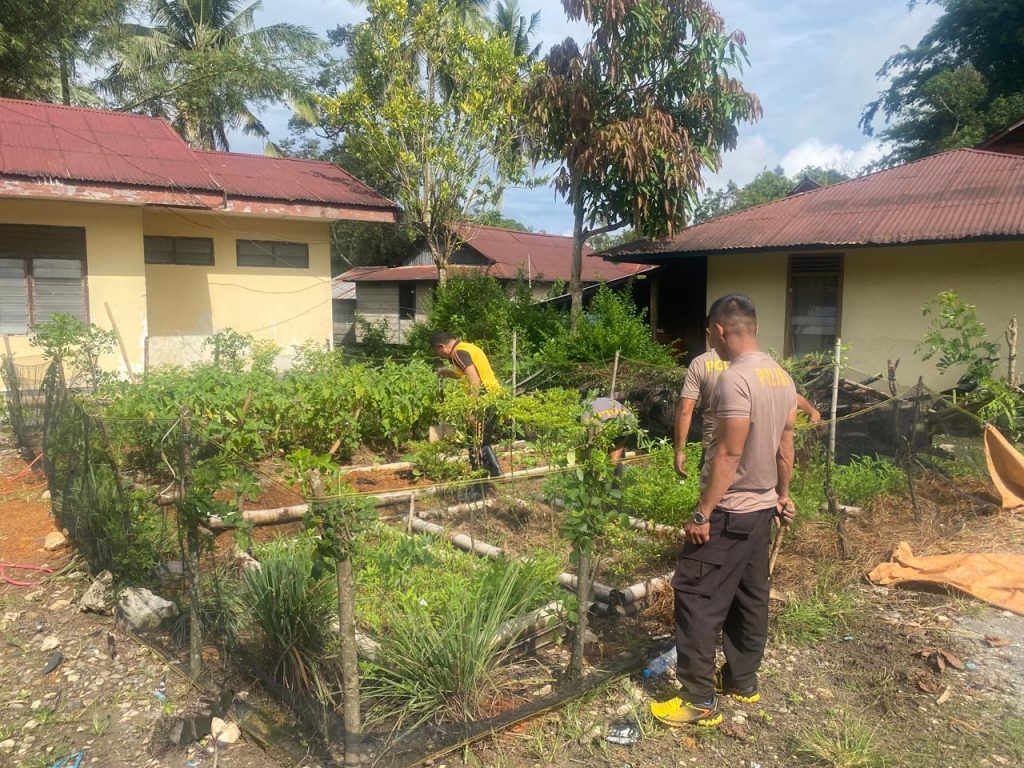 Polsek Sangalla Polres Tator Manfaatkan Pekarangan Kantor Untuk Budidaya Tanaman
