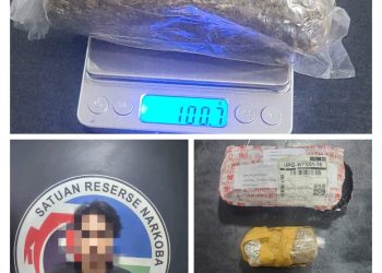 Miliki 100 Gram Ganja, Warga Jalan Lure Diamankan Satres Narkoba Polres Bone 