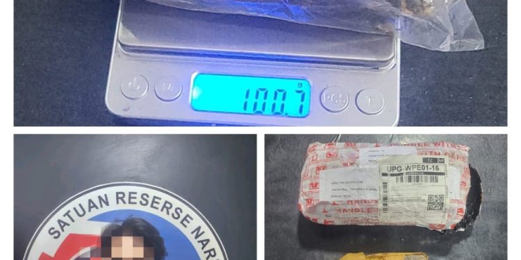 Miliki 100 Gram Ganja, Warga Jalan Lure Diamankan Satres Narkoba Polres Bone 