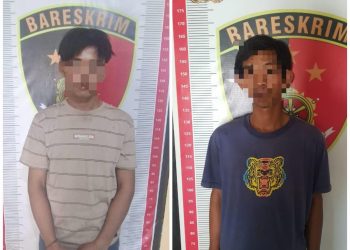 Dua DPO Kasus Penganiayaan Brutal di Suli Dibekuk Polisi