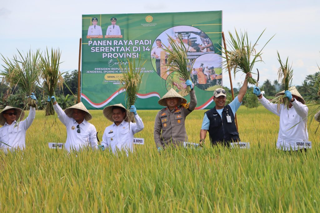 Dukung Ketahanan Pangan, Kapolres Luwu Hadiri Panen Raya Padi Serentak 