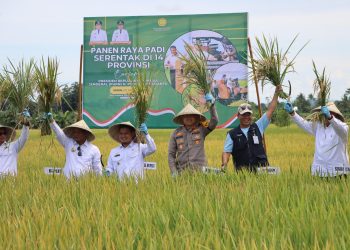 Dukung Ketahanan Pangan, Kapolres Luwu Hadiri Panen Raya Padi Serentak 