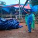 Personel Polres Toraja Utara Bongkar Arena Judi Sabung Ayam di Tallunglipu