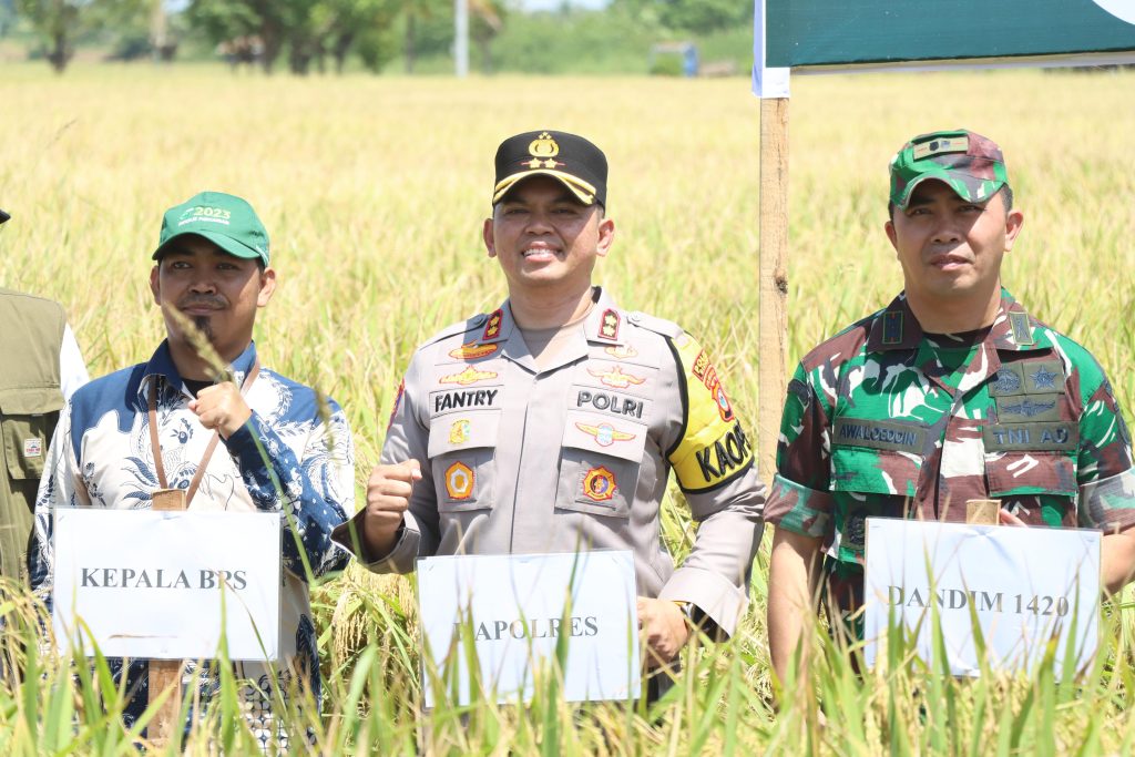 Kapolres Sidrap Hadiri Panen Raya Serentak 14 Provinsi Yang Dipimpin Presiden Secara Virtual