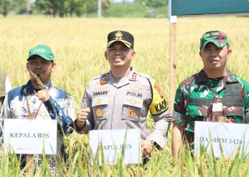 Kapolres Sidrap Hadiri Panen Raya Serentak 14 Provinsi Yang Dipimpin Presiden Secara Virtual