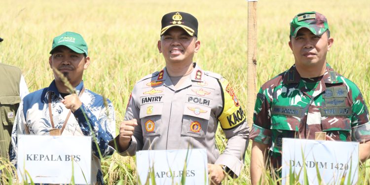 Kapolres Sidrap Hadiri Panen Raya Serentak 14 Provinsi Yang Dipimpin Presiden Secara Virtual