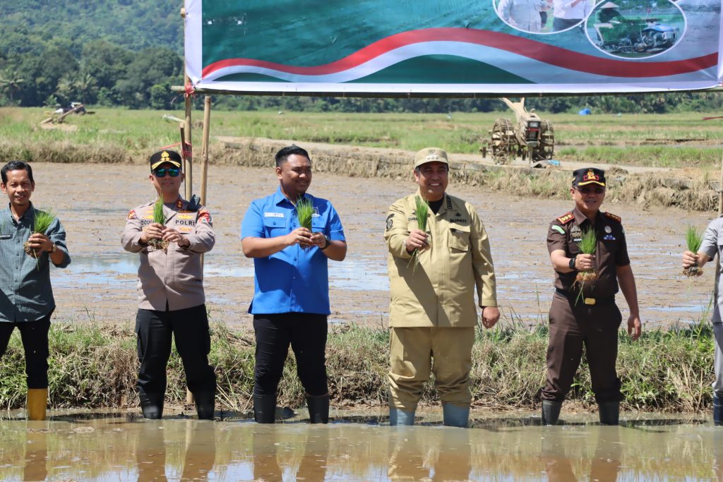 Dukung Swasembada Pangan, Kapolres Maros bersama Forkopimda Tanam Padi Serentak
