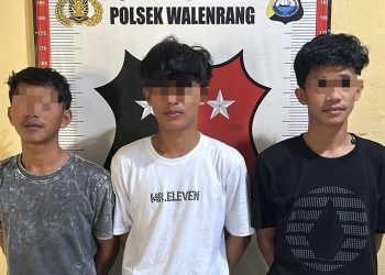 Unit Reskrim Polsek Walenrang Amankan Tiga Pelaku Persetubuhan Anak di Bawah Umur