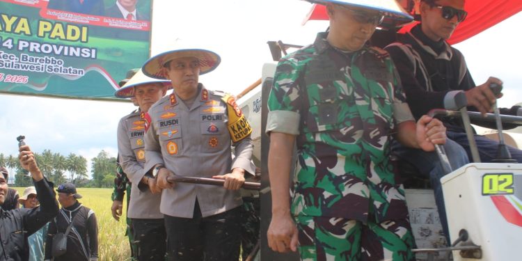 Kapolres Bone Hadiri Panen Raya Padi Serentak Yang Dipimpin Gubernur, Kapolda Sulsel dan Pangdam