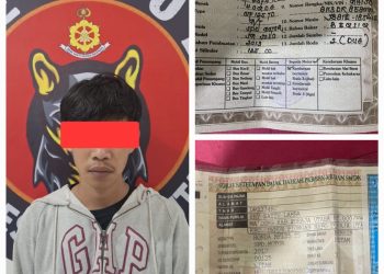Curi BPKB dan STNK Untuk Digadaikan, Seorang Residivis Curanmor Diamankan Resmob Polres Torut