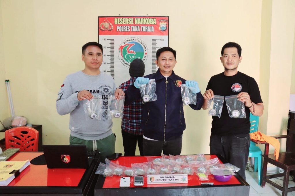 Dibawah Kepemimpinan AKBP Budi Hermawan, Polres Tator Berhasil Gagalkan 1,2 KG Ganja