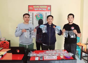 Dibawah Kepemimpinan AKBP Budi Hermawan, Polres Tator Berhasil Gagalkan 1,2 KG Ganja