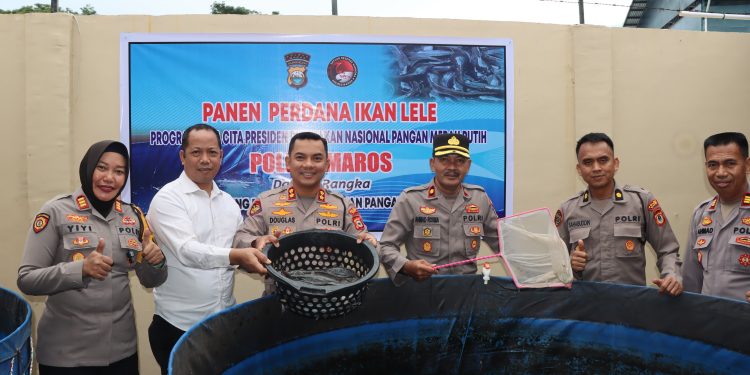 Dukung Program Gerakan Pangan Nasional, Kapolres Maros Panen Ikan Lele Perdana 