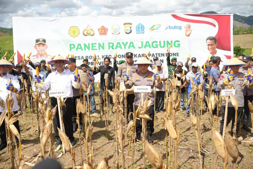 Dukung Program Ketahanan Pangan Nasional, Kapolri - Mentan Panen Raya Jagung di Bone