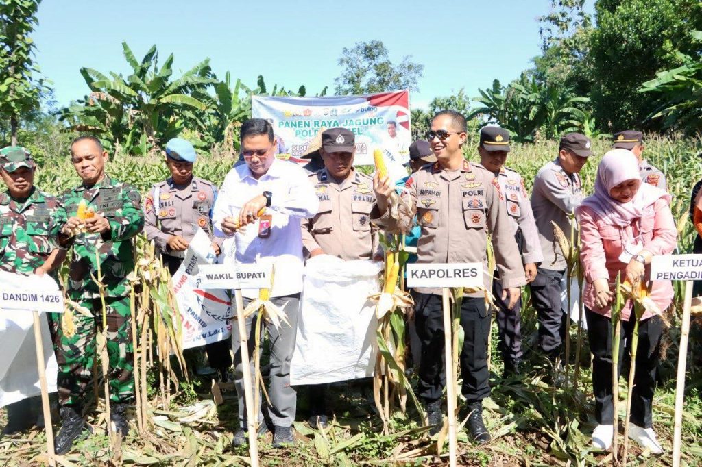 Kapolres Takalar pimpin Panen Raya Jagung Serentak di Balangngasana