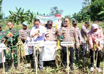 Kapolres Takalar pimpin Panen Raya Jagung Serentak di Balangngasana