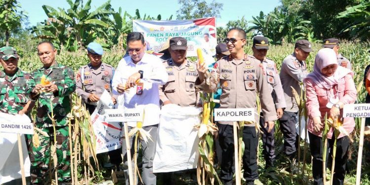 Kapolres Takalar pimpin Panen Raya Jagung Serentak di Balangngasana