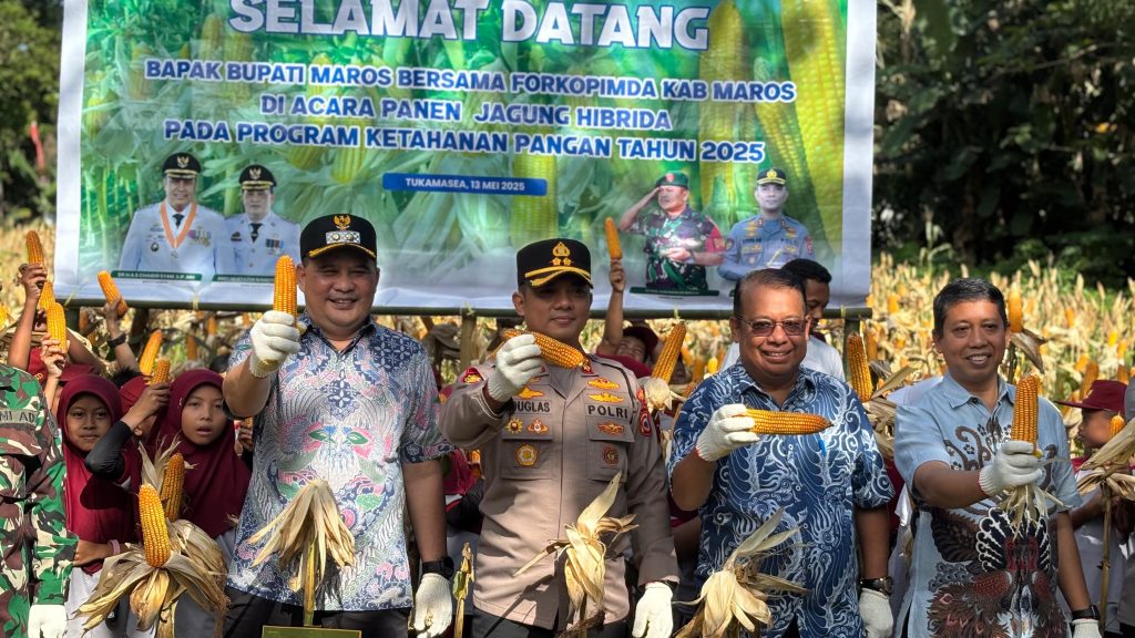 Dukung Ketahanan Pangan, Kapolres Maros Panen Raya Jagung bersama Wakil Bupati