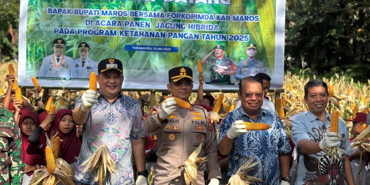 Dukung Ketahanan Pangan, Kapolres Maros Panen Raya Jagung bersama Wakil Bupati